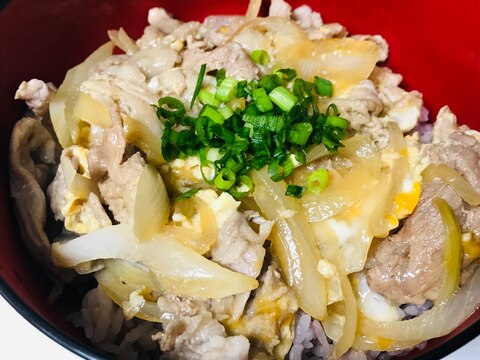 シンプルだけど旨い！他人丼♫